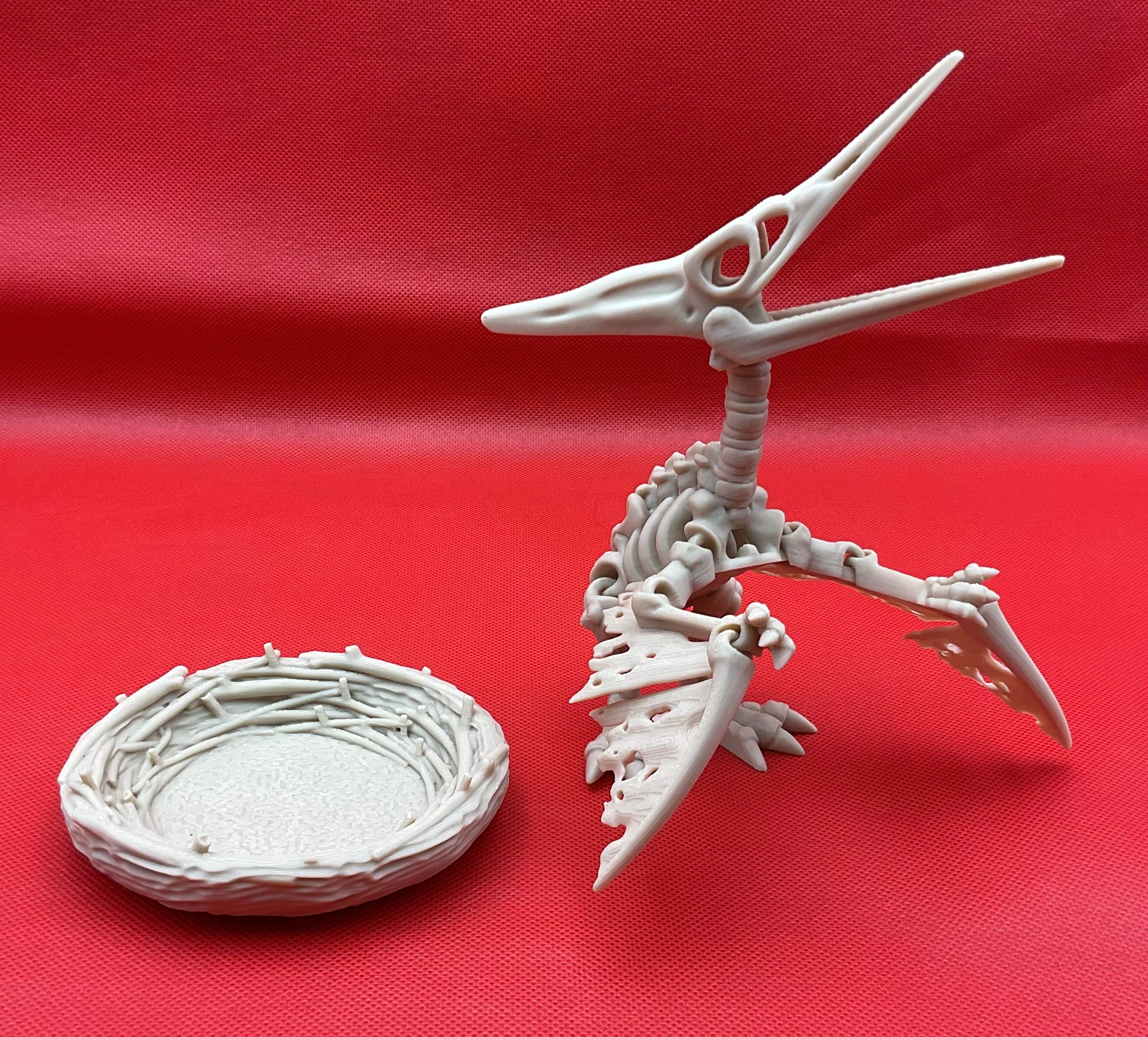 Pteranodon
