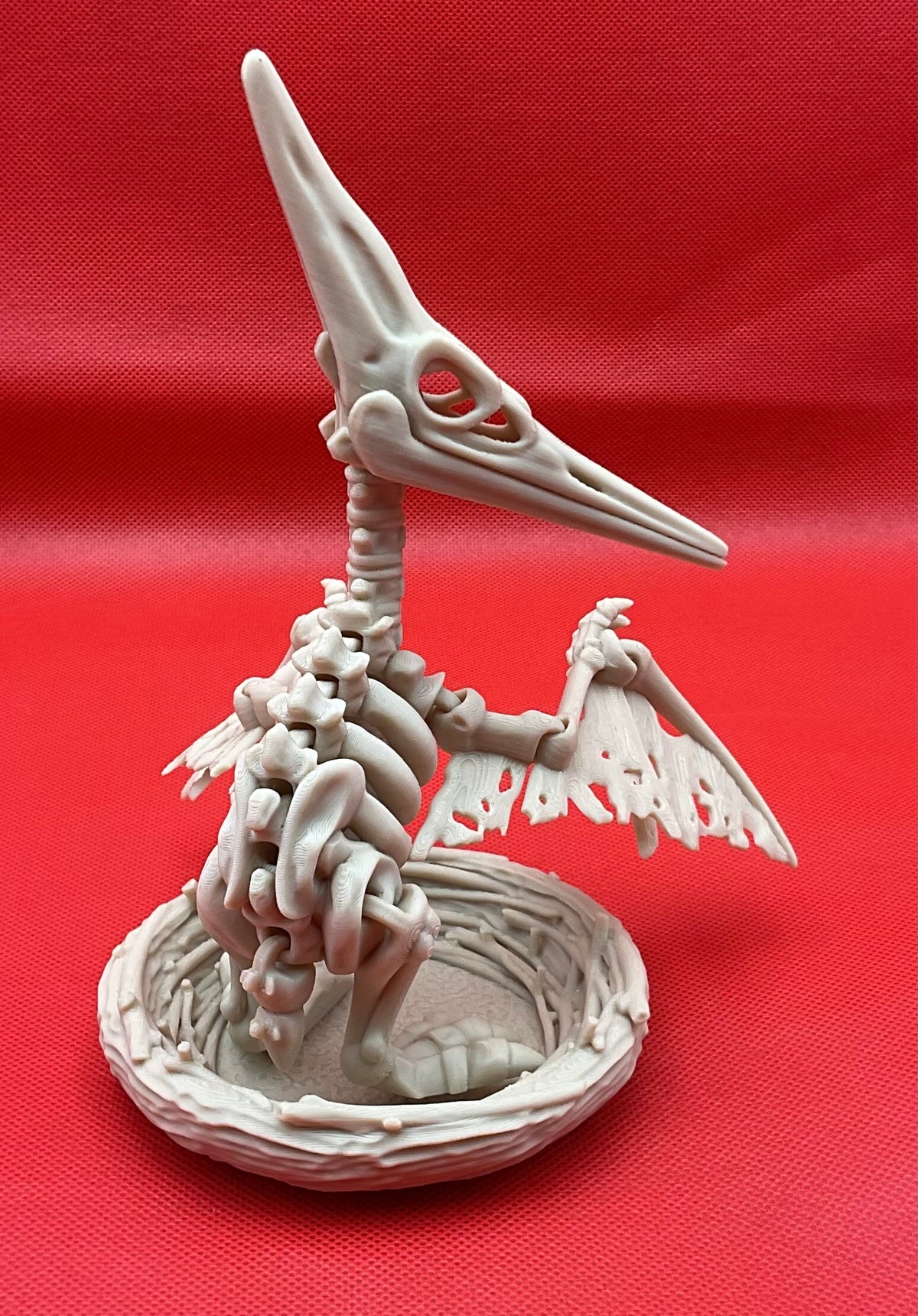 Pteranodon