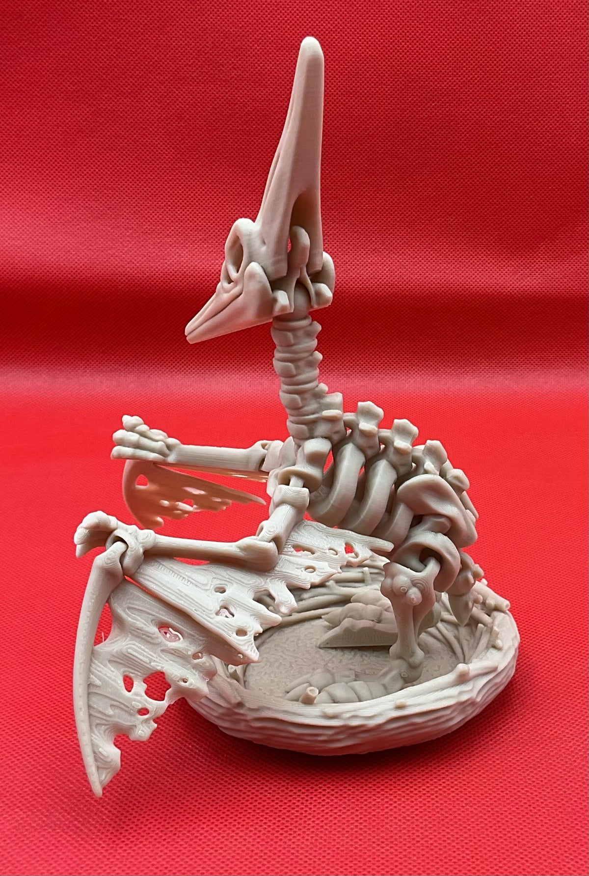 Pteranodon