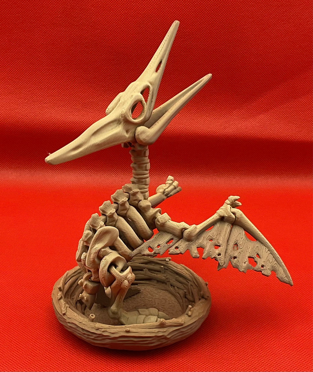 Pteranodon