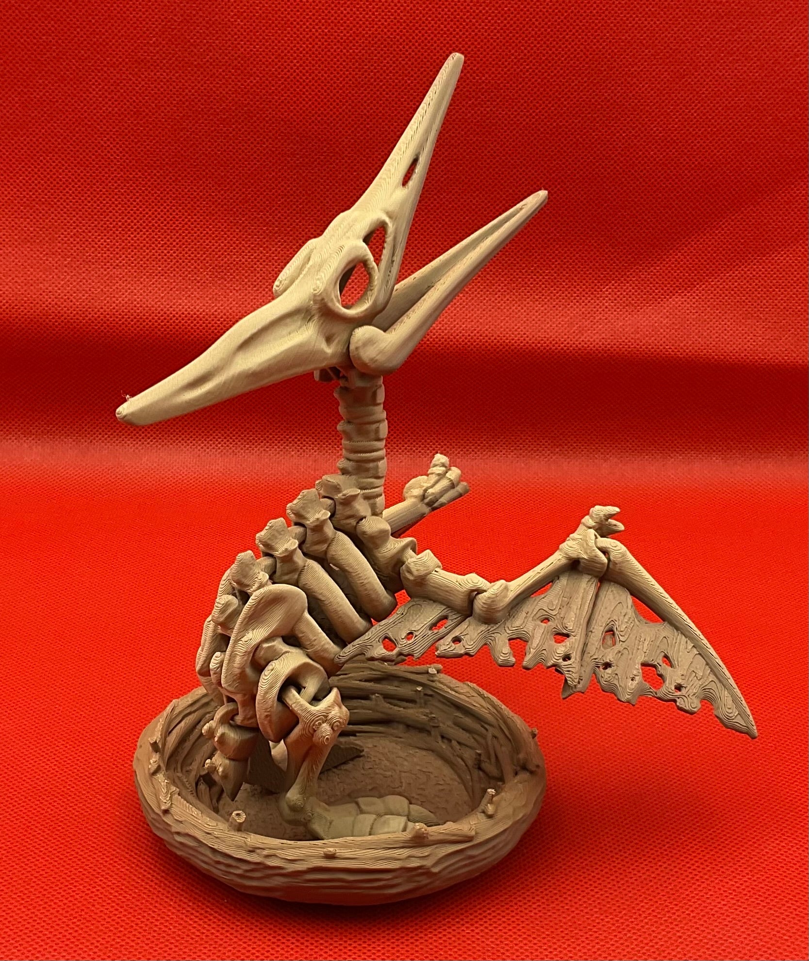 Pteranodon