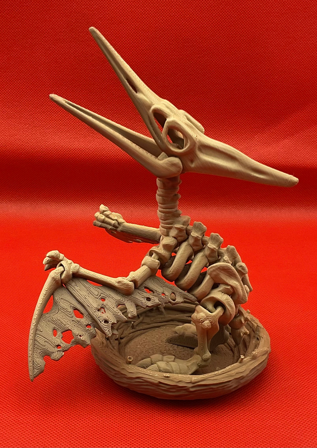 Pteranodon