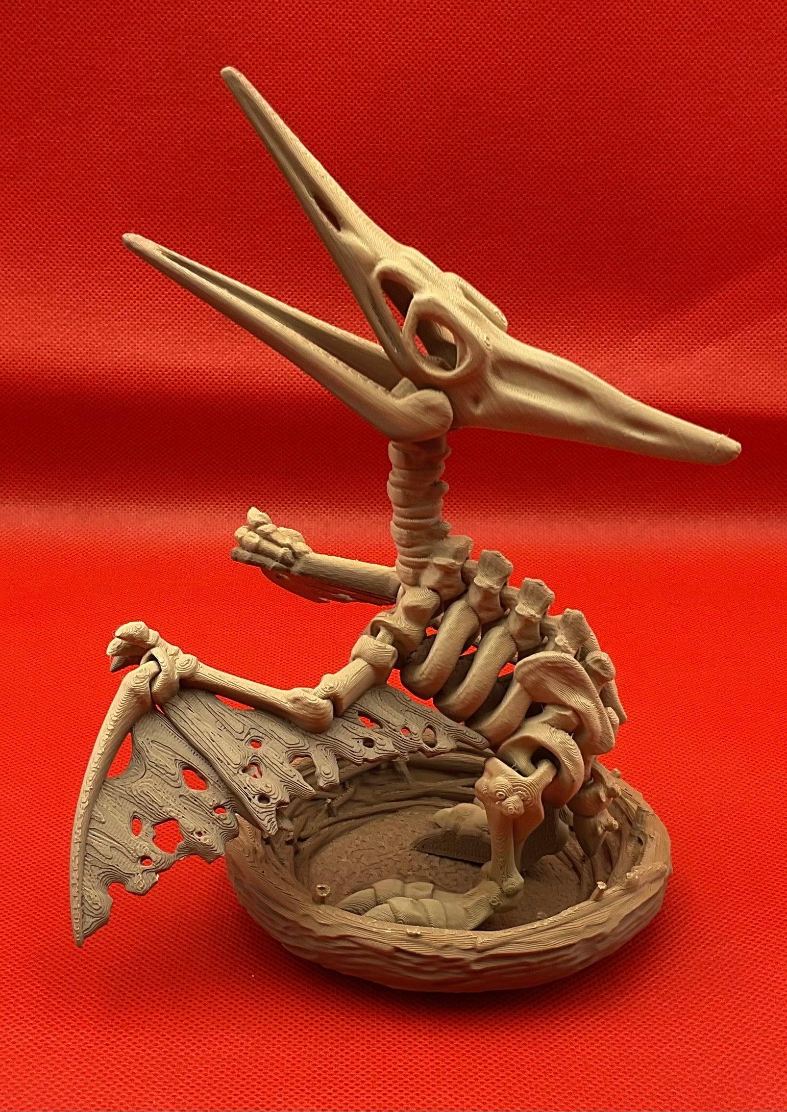 Pteranodon