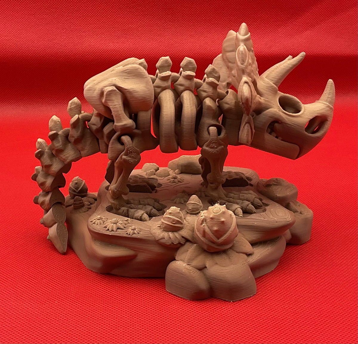 Triceratops