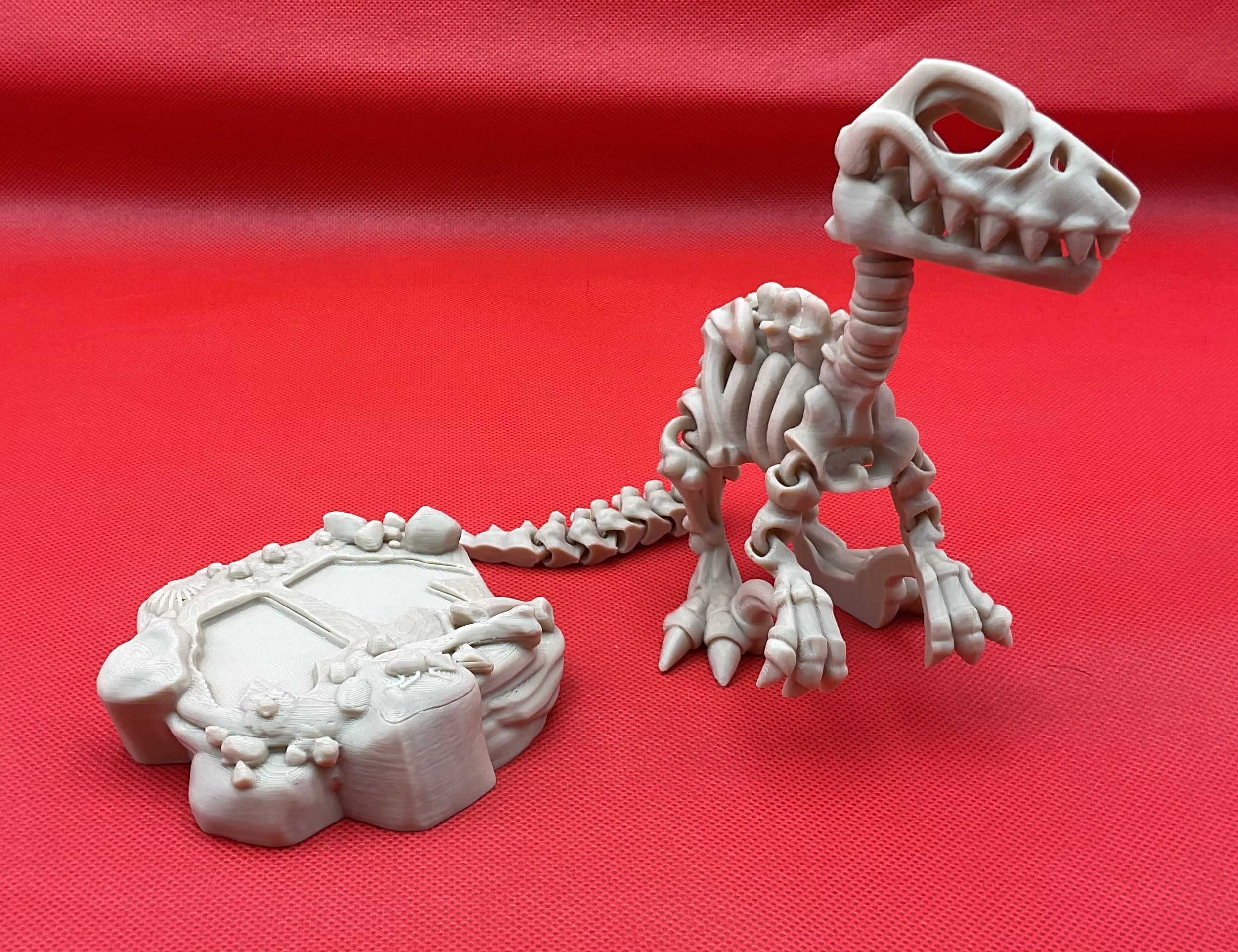 Raptor