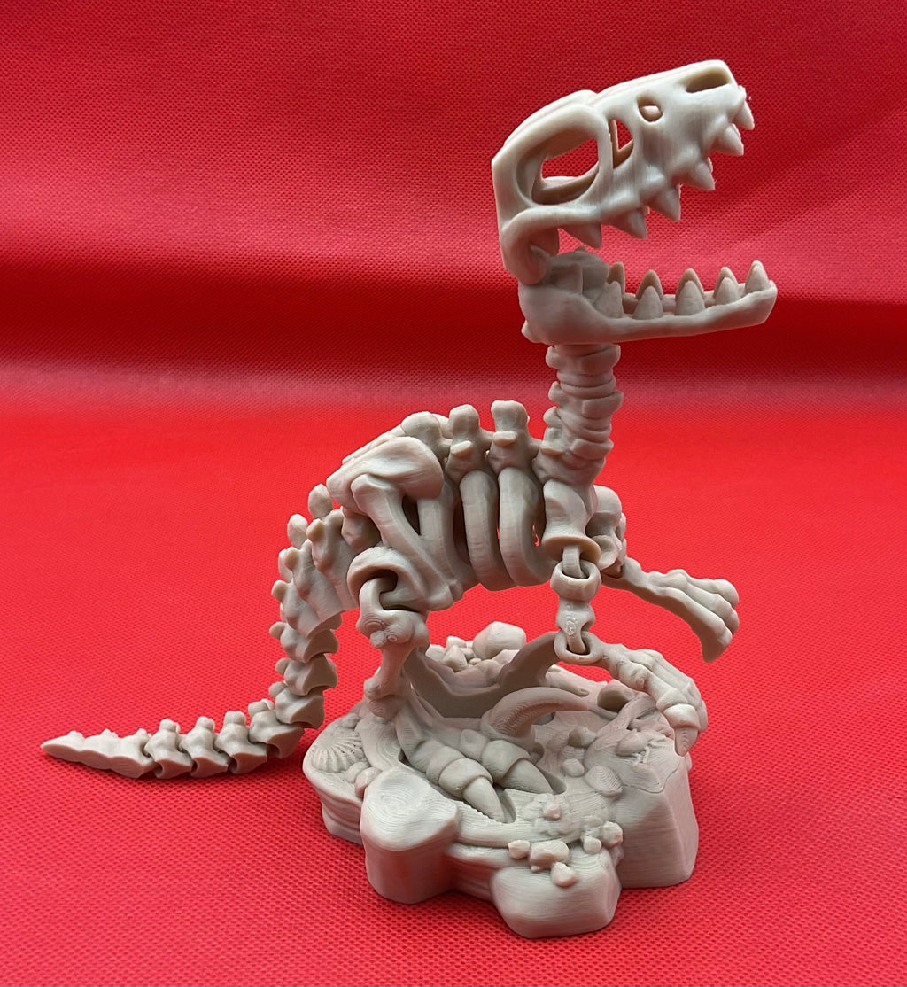 Raptor
