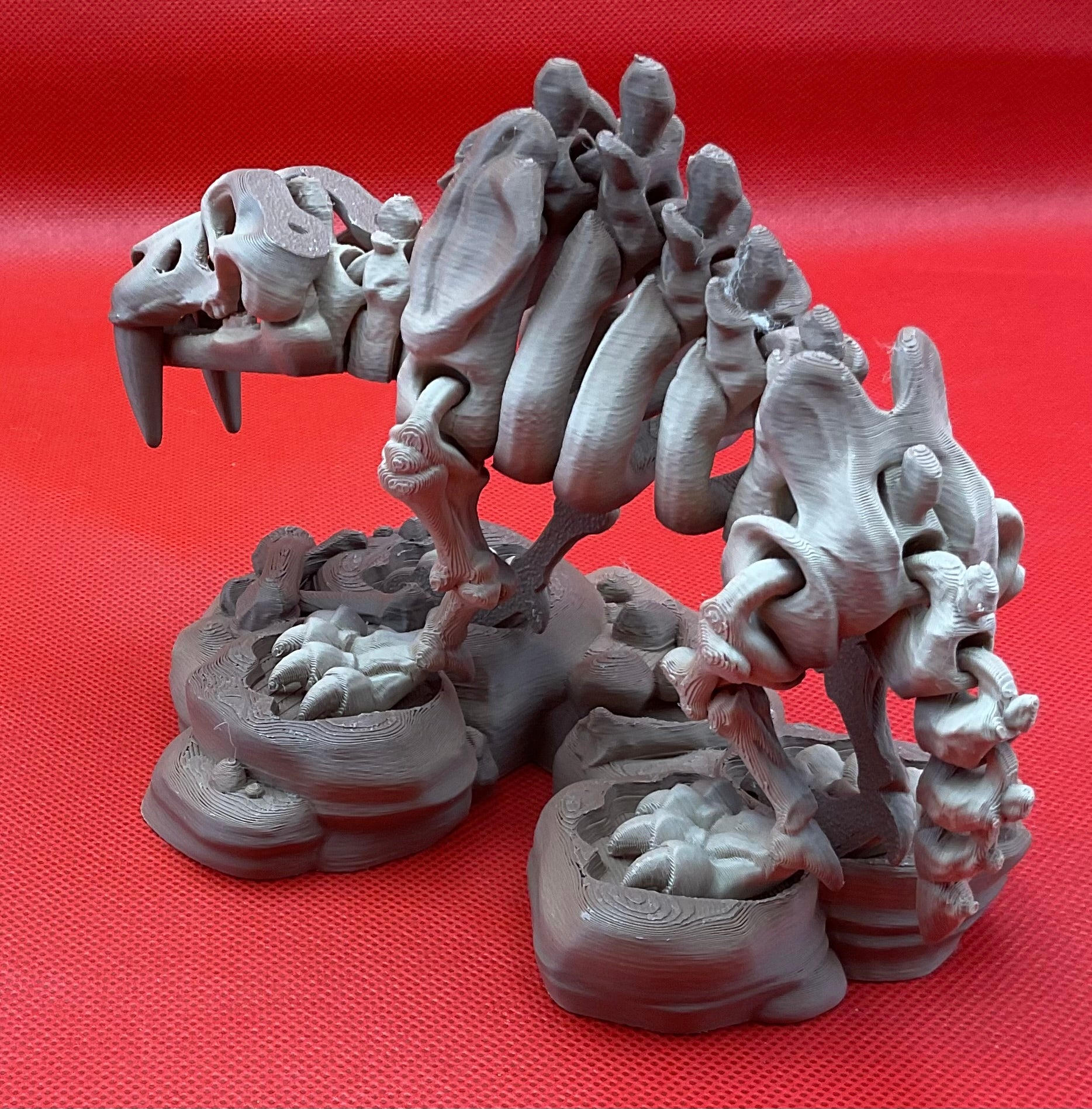 Saber Tooth Tiger