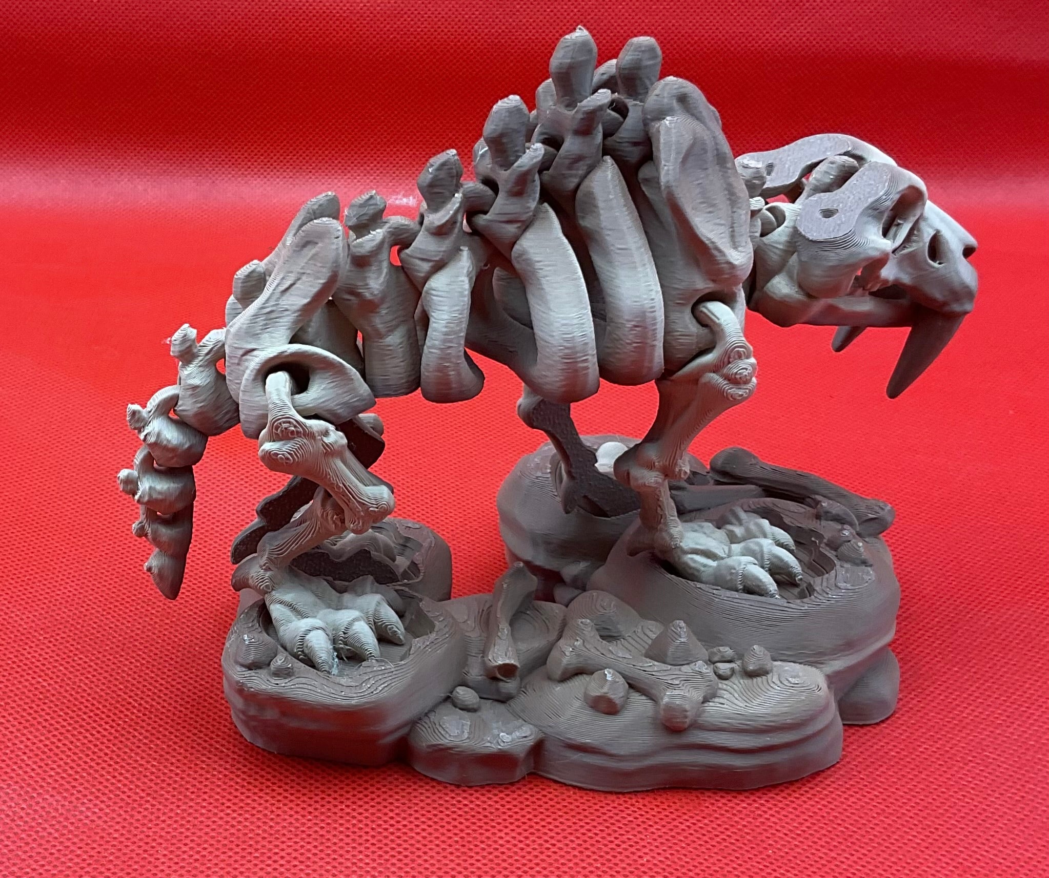 Saber Tooth Tiger