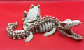 Mosasaurus